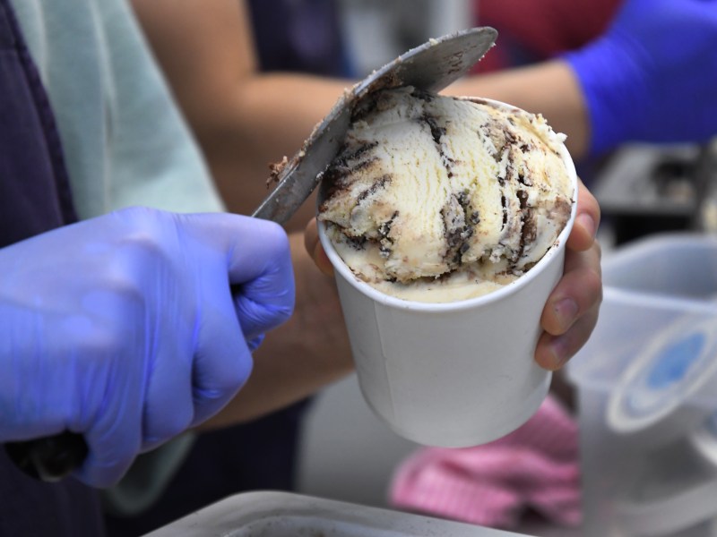 A person wearing blue gloves scoops ice cream with chocolate swirls into a white paper cup.